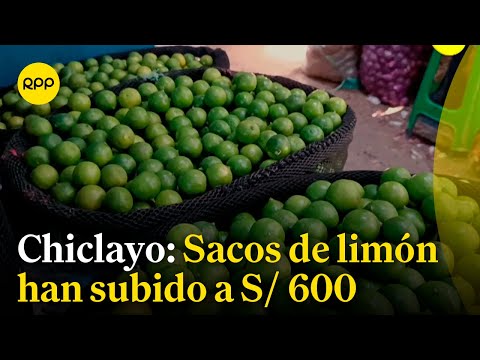 CHICLAYO: El saco de limón sube a S/ 600 cuando antes costaba S/ 70