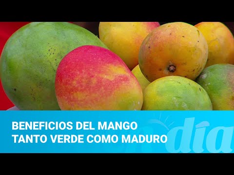 Beneficios del mango tanto verde como maduro