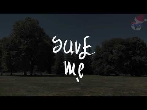 StoryBoard 1 de la vidéo BTS - SAVE ME DANCE COVER by NAO for POPNATIONLYON