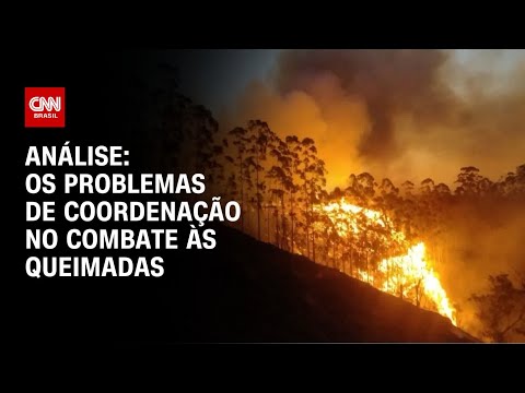 Análise: Os problemas de coordenação no combate às queimadas | WW