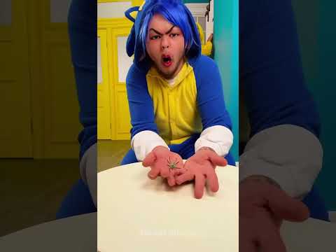Spiders Through My Eyes vs. His Eyes: A Hilarious Perspective! 😂🕷️