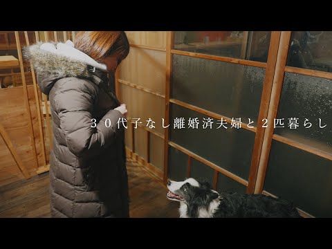 ３０代離婚済み夫婦｜お節を作る｜愛犬２匹と過ごす年末年始【ボーダーコリー】