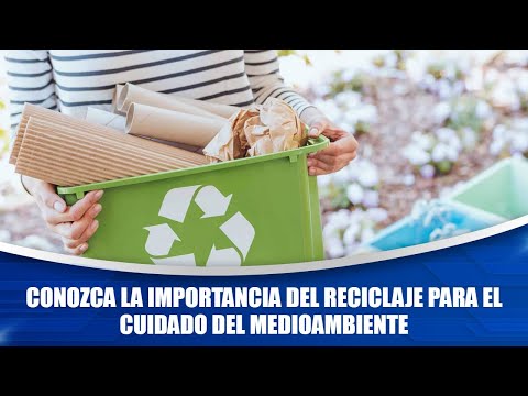 Conozca la importancia del reciclaje para el cuidado del medioambiente