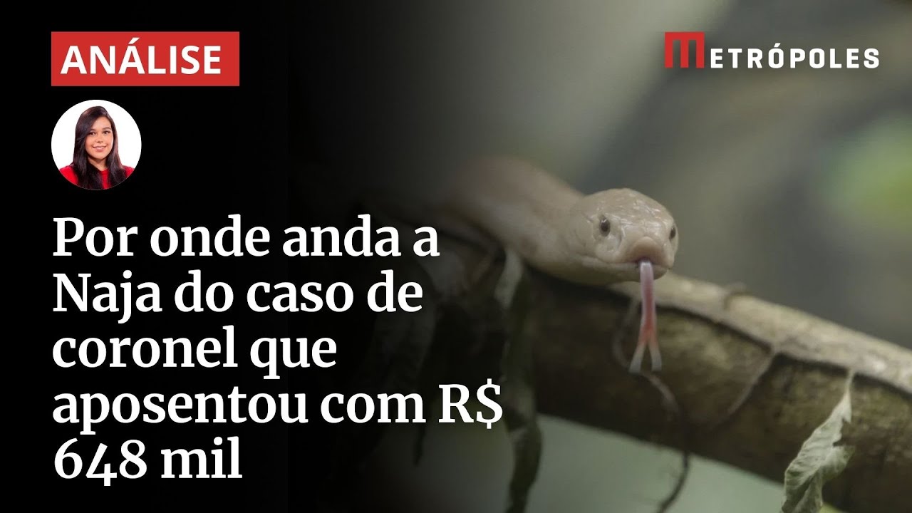 Saiba onde está a Naja do caso de coronel que aposentou com R$ 648 mil