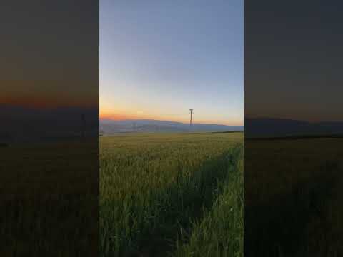 راحة نفسية 😍 Peace of mind 🕊️✨