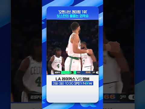 NBA 동부 1위 보스턴의 양궁 농구 #Shorts