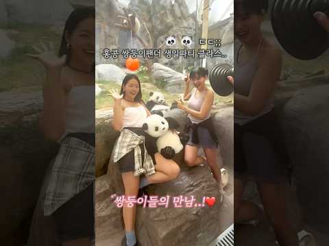 홍콩 쌍둥이팬더 생일파티 클라스..ㄷㄷ @hongkong 홍콩 쌍둥이팬더 생일파티 클라스..ㄷㄷ @hongkong