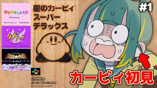 🌳【 スパデラ 】カービィ初プレイ！みんなのSAN値がんばれっ🌠【 星のカービィスーパーデラックス ❘ ノルジュ 】