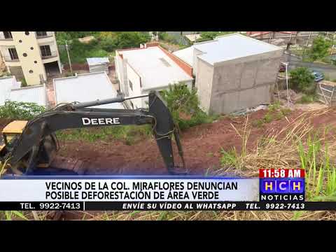 Vecinos denuncian destrucción de área verde en Lomas de Miraflores
