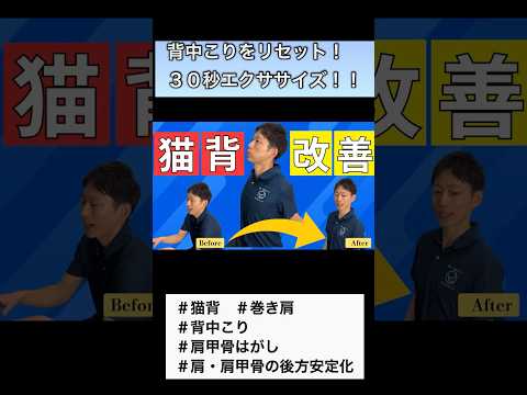【背中こり】デスクワークの丸まり解消｜背筋総動員サークル  #胸郭 #肩甲骨はがし #胸椎 #肋骨 #胸郭出口症候群 #整体 #shorts