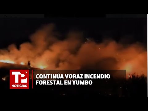 Continúa voraz incendio forestal en Yumbo |19.03.2024I TP Noticias