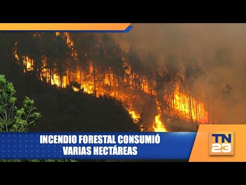 Incendio forestal consumió varias hectáreas