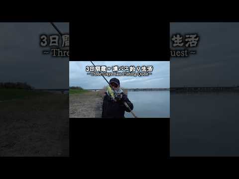 【3日間霞ヶ浦バス釣り生活】ビッグベイトでデカバスを狙う #ショート