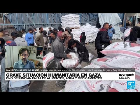 ¿Cuánta ayuda humanitaria está ingresando en la Franja de Gaza? • FRANCE 24 Español