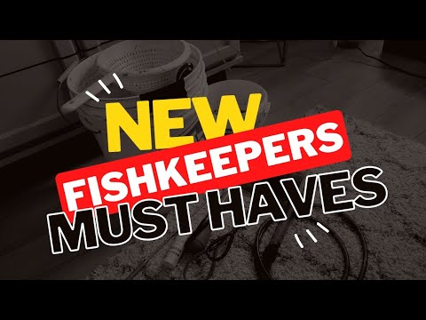 New Fishkeeper Must Haves! Trust me! You will use all of this stuff! A few things that make the aquarium hobby easier.