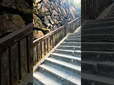 2025년 7월 22일 #Japan #구마모토