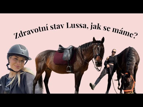VLOG - jak je na tom Lusso?