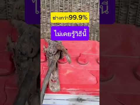 ช่าง99.9%ไม่เคยรู้วิธีนี้