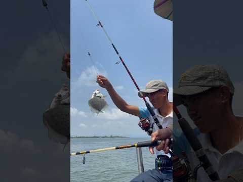 🤩 wow 😯 small fish 🐠 #shortvideo #fishing #trending #viralvideo #video #cooking #food