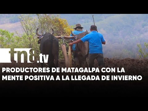 Todo listo para las siembras de primera en Matagalpa, solo esperan las lluvias - Nicaragua