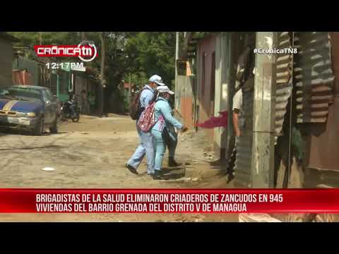 Eliminan criaderos de zancudos en viviendas del barrio Grenada - Nicaragua
