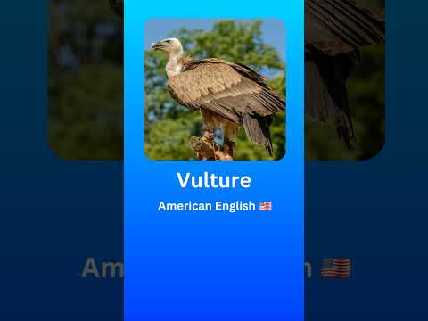 How to Pronounce Vulture (American English 🇺🇲) #2024 #language #pronunciation #english #vulture