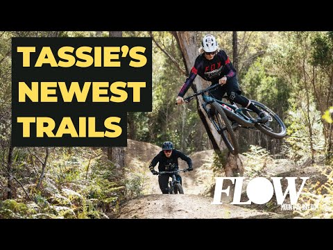 Ripping George Town’s Latest Descents | Fresh Trails at Tippogoree Hills