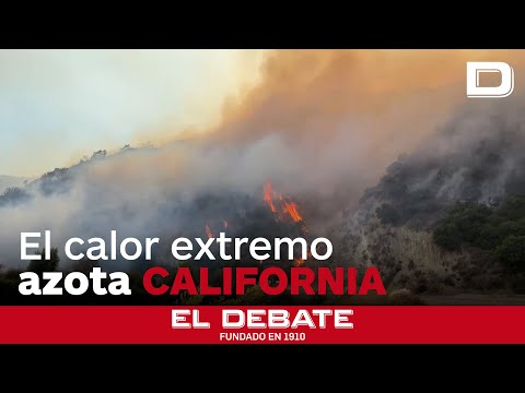 Los incendios que azotan California por el calor extremo