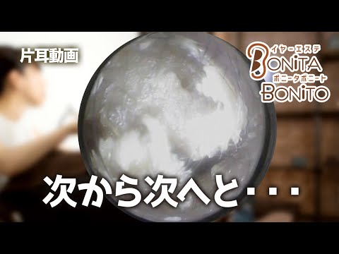 #耳掃除 次から次へと。。。