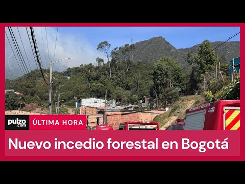 “Bogotá nos necesita”: nuevo incendio forestal aumenta preocupación por falta de agua| Pulzo