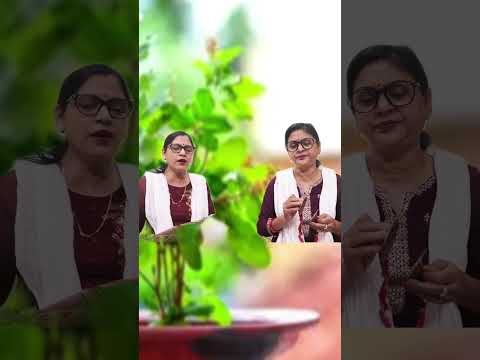🌸 तुलसी मैया का बहुत ही सुंदर गीत 🙏 | सुनें और भक्ति में खो जाएं | S.K Bhajan #skbhajan #bhajan