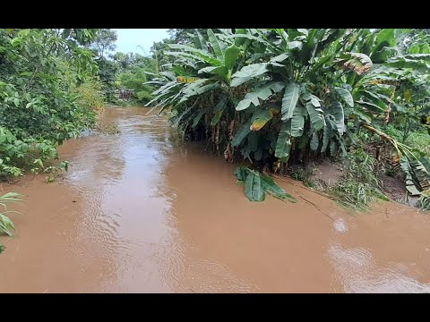 Desborde de río Sis provocó inundaciones en Suchitepéquez