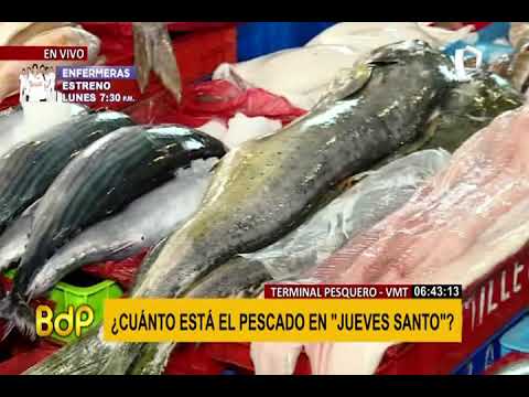 Terminal Pesquero de VMT: ¿A cuánto está el precio del pescado en “Jueves Santo”