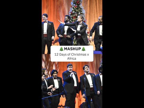 MASHUP 🎄 12 Days of Christmas/Africa
