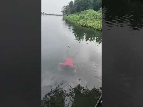 Apni nazron ko #hindisong #bollywood #song #bollywoodsongs #love