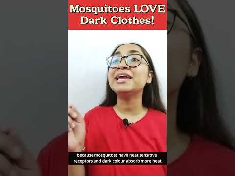 Mosquitoes LOVE Black T-Shirts!