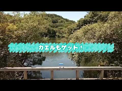 雪君の1分動画【将来の夢はYoutuber!子ども応援企画】