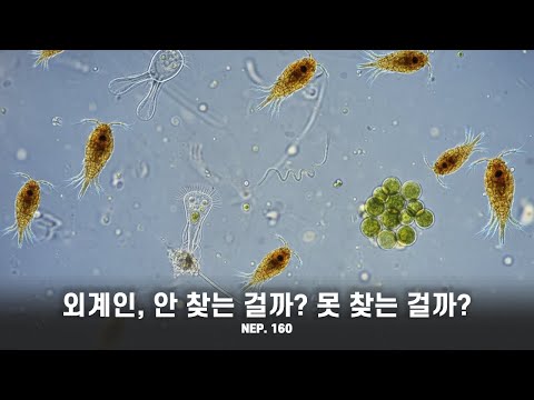 [EP 160] - <strong>미노스</strong>