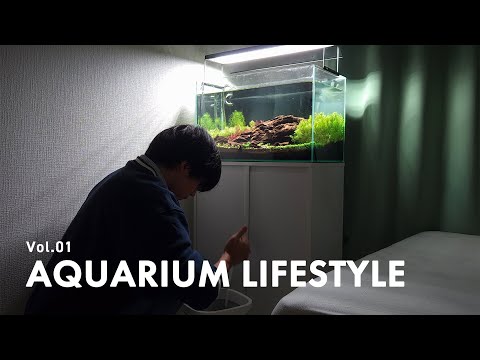 eng) Living Alone in Japan as a University Student | A Relaxing Day Buying Tropical Fish | Vlog