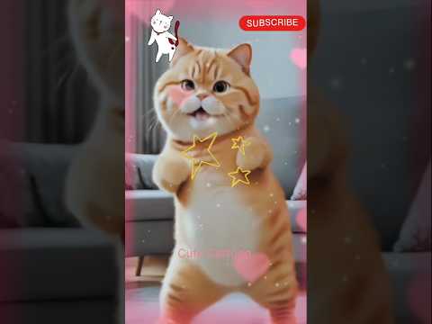 cat dance 😻💃😃🐾|Cat dance|#shorts #cat #catvideos #usacats #cutecartoon