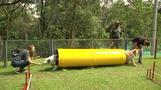 Inauguran dos parques para mascotas en Itagüí - Telemedellín