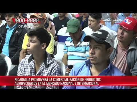 Nicaragua promoverá el comercio de productos agropecuarios – Nicaragua