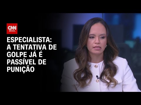 ​Especialista: A tentativa de golpe já é passível de punição | WW