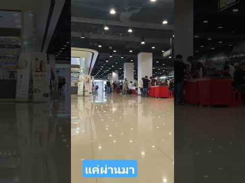 ฟังเพลงเพราะ #คลายเครียด #พักผ่อน ในวันหยุด