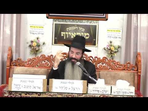 בית הכנסת מוסאיוף פרשת לך לך