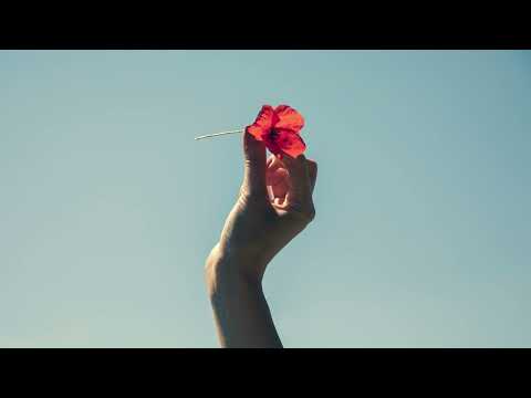 EVAN GIIA - Hard Feelings