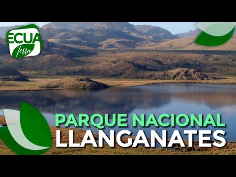 Ecuaterra | Conoce el Parque Nacional de Llanganates