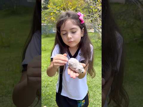 NÃO TOCA NO MEU RATINHO 🤣🤣🤣