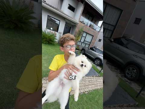 Devolve meu cachorro