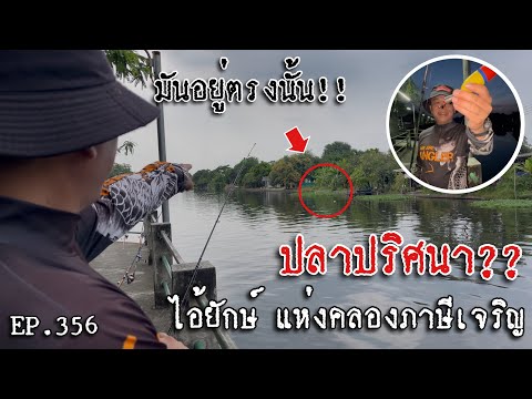 🎣🐠WeareAnglerEP:356“ปริศนา